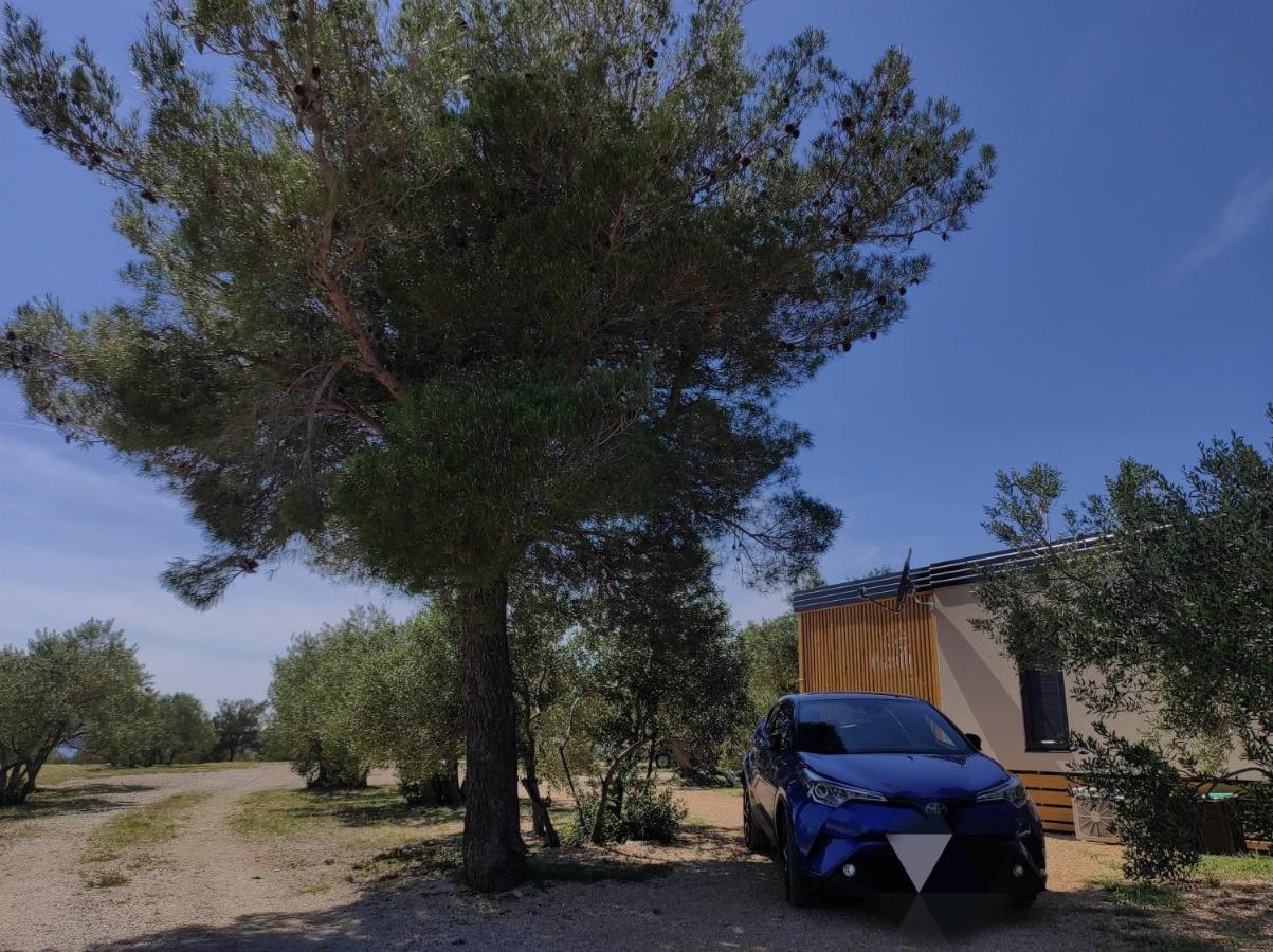 Zen Zone Premium Mobile Home Drage Zewnętrze zdjęcie